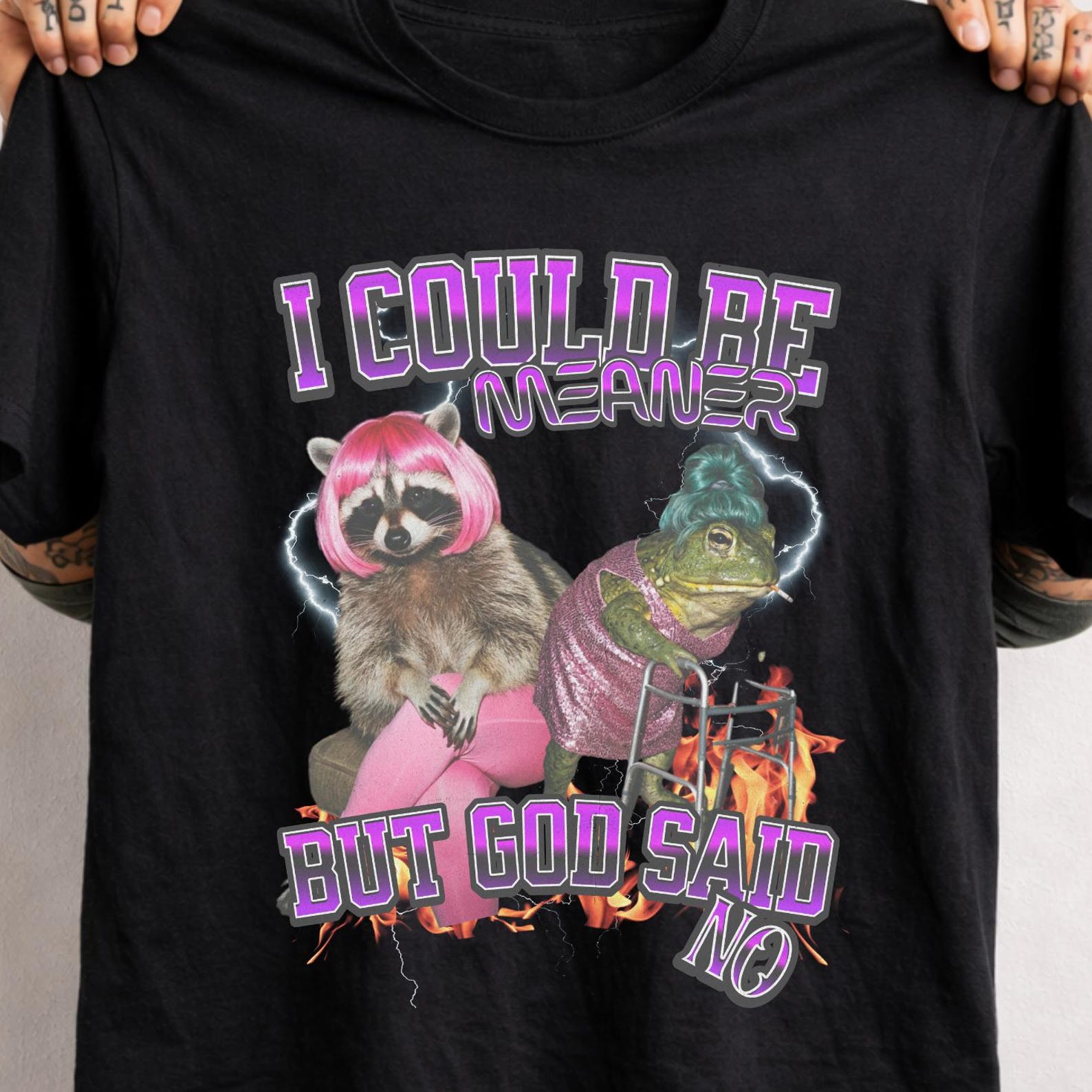 I Could Be Meaner But God Said No Shirt, Funny Raccoon and Toad Tee, Weirdcore Aesthetic Clothing, Sarcastic Meme T-shirt, Y2K Graphic Top. 4XL