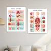 Human Body Poster Health Education Prints Anatomy Poster Organs Chart Anatomy Skeleton Homeschool Decor Educational Print Poster