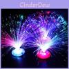 Decorative Christmas Color Changing Led Fiber Optic Night Light For Seasonal Spirit
