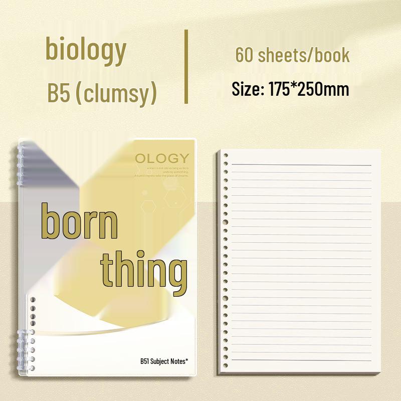 Minimalist Colorful B5 Loose-Leaf Notebooks for Middle & High School Students, Detachable, Thickened, Hand-Friendly