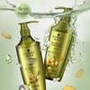 Ginger Essence Shampoo