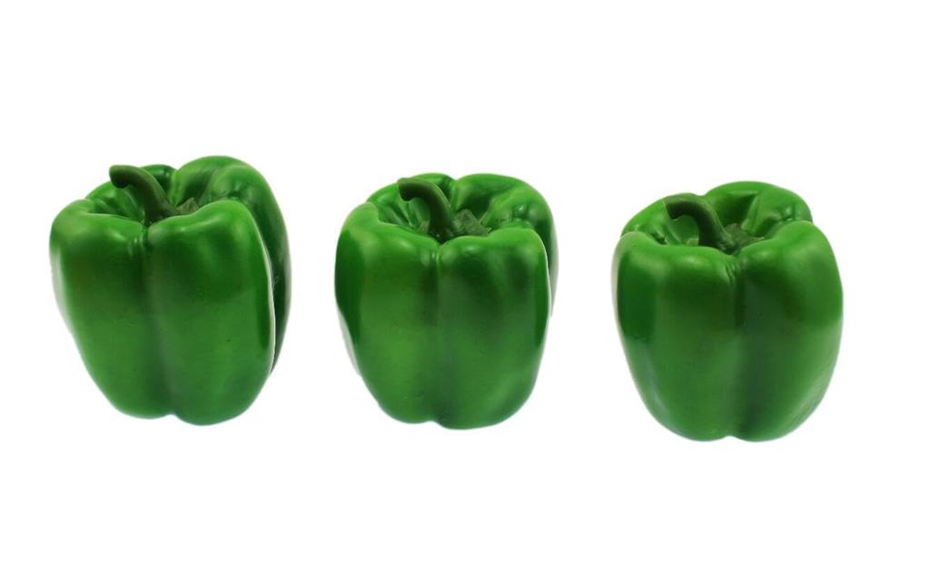 Speed Mao Realistic Green Pepper Food Set of Green Samples, 9,