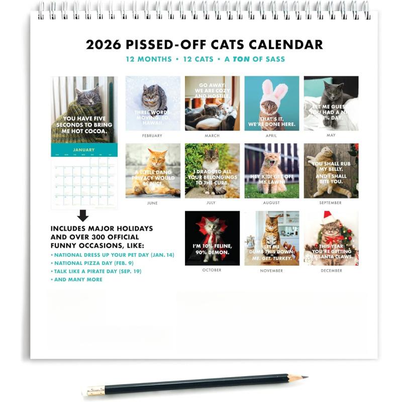 2026 Annual Angry Cat Calendar - Fun Trendy Gift for Angry Cat Lovers -12 Months Wall Planner,Used for Joke Gifts