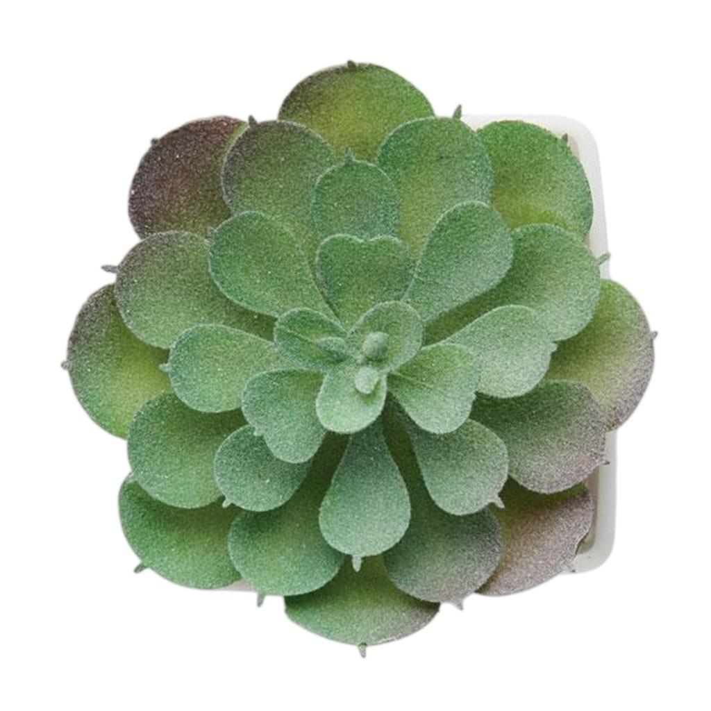 MidOcean Artieche Polypropylene Echeveria Mini Artificial Plant