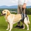 Comfortable Pet Rear Leg Support Adjustable Hind Leg Support Straps  Recovery Period