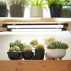 BARREL SHELF GROW SLIM Black LED Grow Light, Slim and Connectable, High Color Rendering, for Indoor Plants and Succulents