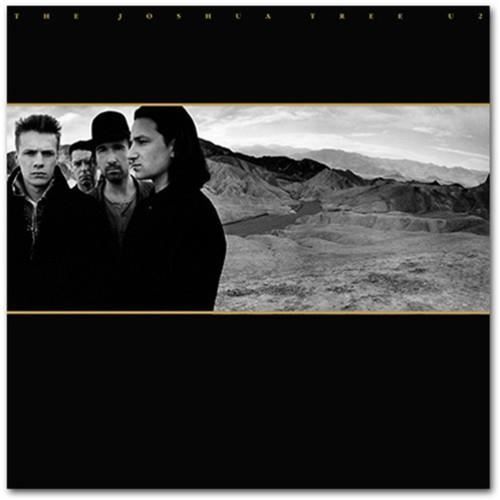 Vinyle - ISLAND - The Joshua Tree - Rock - U2 - Qualité sonore exceptionnelle