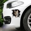 3D Cat Car Stickers Auto Body Bumper Cover Scratches Motorcycle Front Cowl Fuel Tank Decor Removable Animal Vehicle Accessories