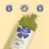 Nat Habit Organic Indigo Powder For Natural Black Hair Color HUFA Technology Chemical Free Deep Conditioning 170g Pack Of 1