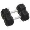 VidaXL Dumbbells 2 Pcs 30 Kg Total Cast Iron, Dumbbell Set, Hex Dumbbell, Weight Plate, Weight Bar 93606