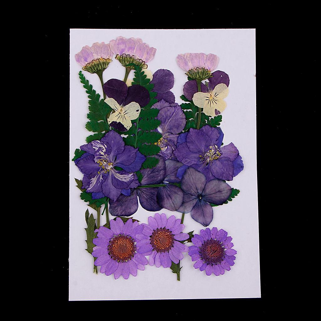 

Assorted Press Leaves Dried Flowers Wedding Decor Card Making Purple
