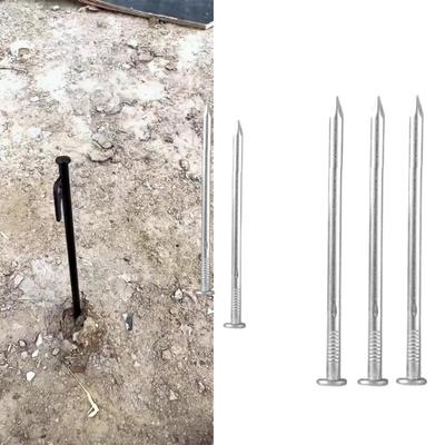 Chiodi per Montaggio Mobili Set di Chiodi in Acciaio per Appendere Quadri e Lavorazione del Legno Adatto per Cartongesso e Pino in 2 Misure