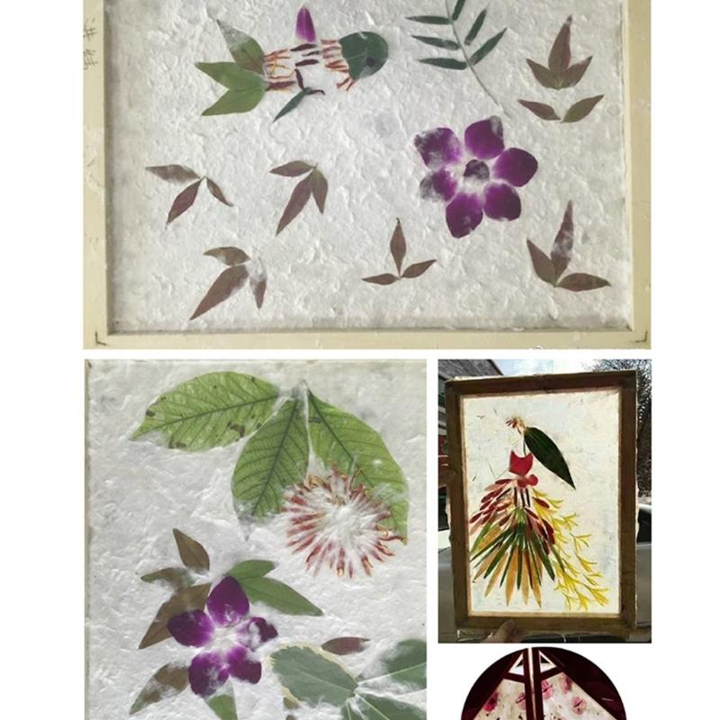 Pack of 2 Multifunctional Wood Paper Making Mold Screen Papermaking Frame for Handmade Craft Projects and Creative Gift