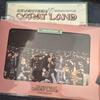 [USED] CARAT LAND Clean 2022 Digital Code DigiCo Seventeen