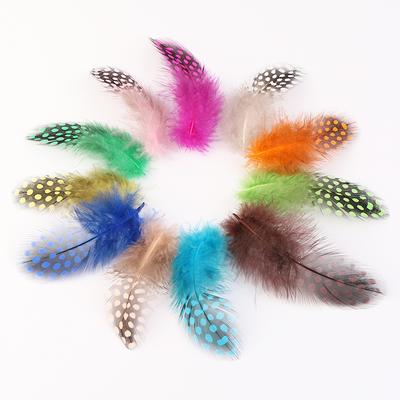 50 Pièces Plume de Poulet Perle, Plume Yiwu DIY Plume, Plume Décorative
