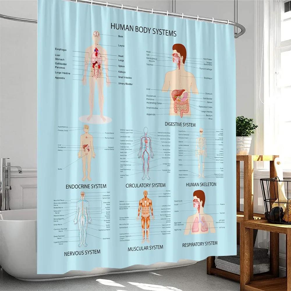

Modern Human Body Organ Shower Curtain Human Nervous System Bathroom Decoration Polyester Fabric Shower Curtain W60H190(CM)-1 Pcs