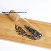 Heat-Resistant Glass Tea Infuser: Convenient Test Tube Tea Strainer & Home Brewing Accessory