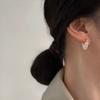 Light Luxury Unique New Design Love Imitation Zircon Heart Earrings For Women Fashion Elegant Metal Zircon Party Gifts