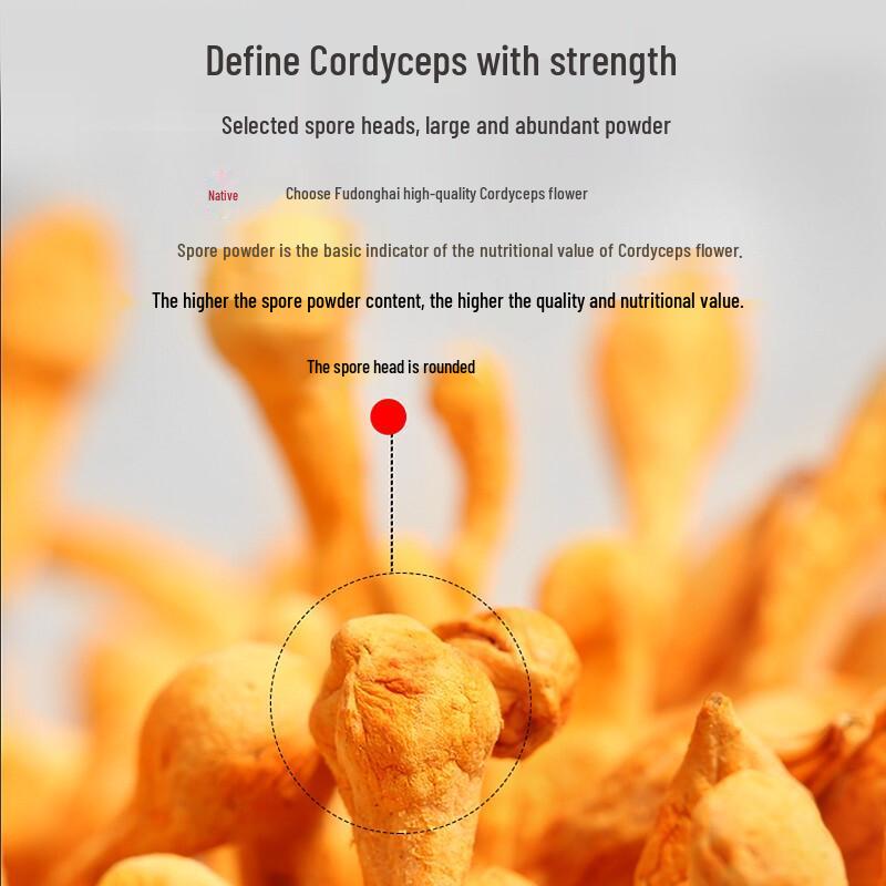 Fudonghai Dried Cordyceps Flowers