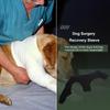 Dog Recovery Sleeve Back Leg Dog Back Leg Brace Anti-Licking Puppy Thigh Wound Protective Sleeve Elbow Recovery Sleeve For Home