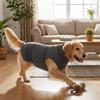 Pet Supplies Elastic Dog Anxiety Vest Reflective Warm Dog Soothing Clothes Comfortable Adjustable Dogs Calming Jacket Rainy Day