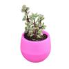 Succulent Pot Mini Seedling Flower Container Plastic Flower Pot for Garden Courtyard Balcony
