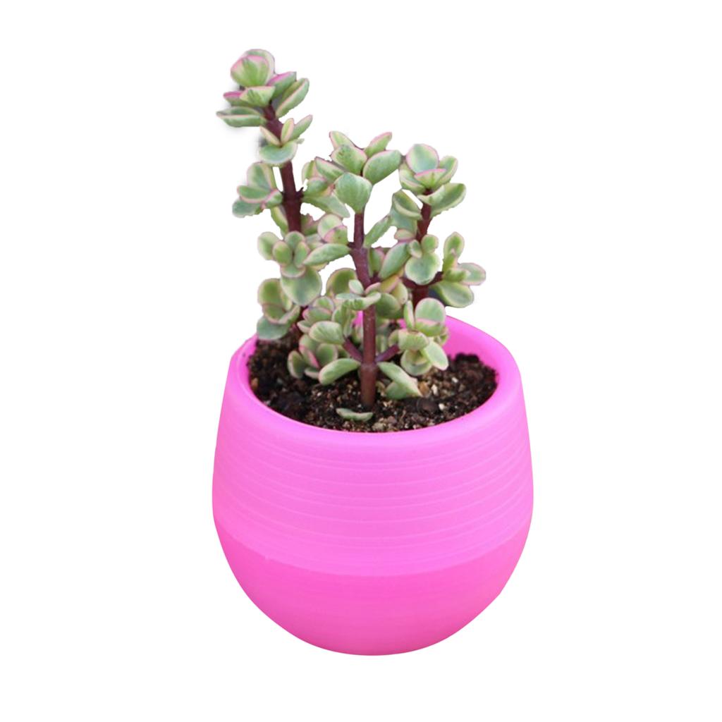 Succulent Pot Mini Seedling Flower Container Plastic Flower Pot for Garden Courtyard Balcony
