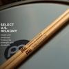 MEINL Stick Brush Timbales Stick Hickory X 3 Pack & 7/16" SB127-3 (405 11.1mm) []