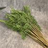 Real Touch Artificial Fern Plant Handmade Elegant Design Realistic Artificial Fern Plastic Material Fake Plants Wedding Decor
