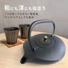 Oshu Nanbu Ironware Teapot Nanbu Shape Kawasemi Enameled with Tea Strainer Made in Japan Iron Kettle Iron Teapot Stylish Gift Interior Cups 22 x 17cm