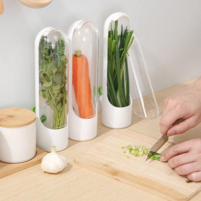 Porta Erbe da Frigo con Coperchio Trasparente Sfiati Regolabili Senza BPA Conserva la Freschezza delle Verdure