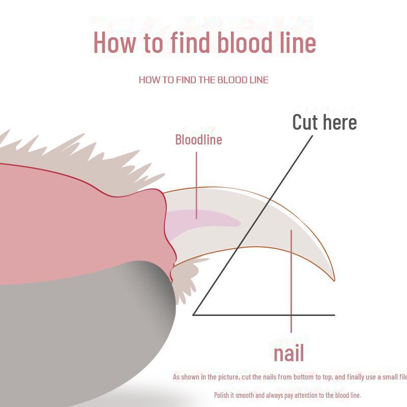 "Pet Nail Clippers for Cats and Dogs, Anti-Scratch, Cat-Specific Design"