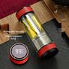 Smart Temperature Display Tea Infuser Bottle