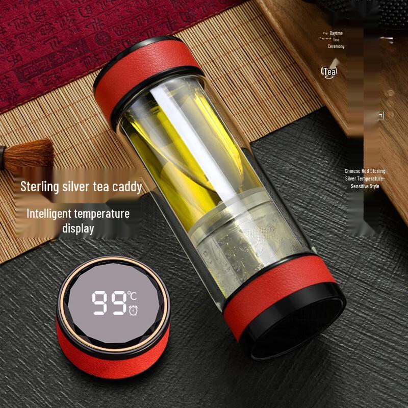 Smart Temperature Display Tea Infuser Bottle