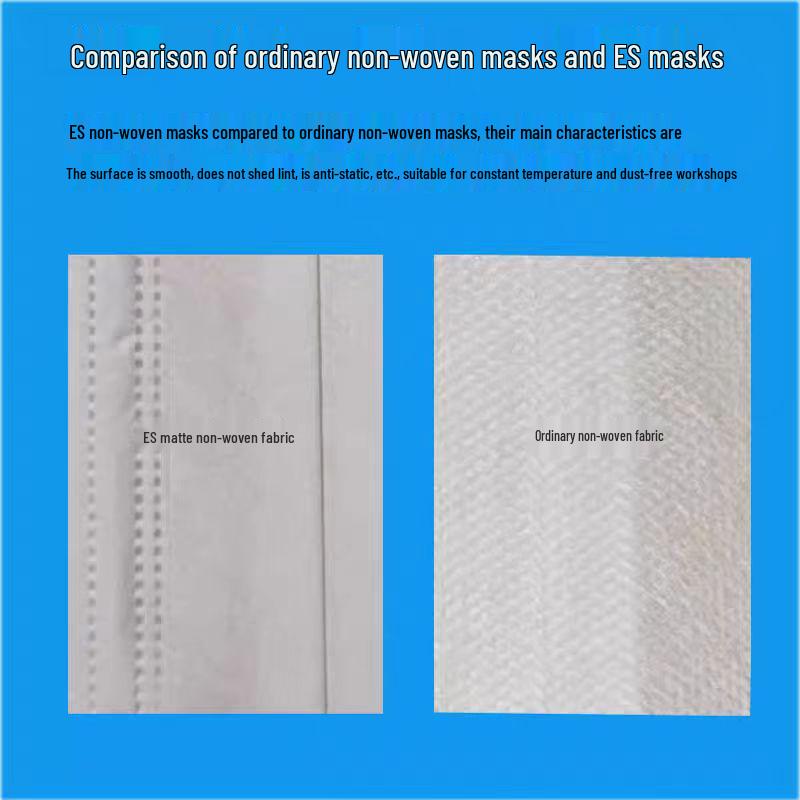 ES Dust-Free Anti-Static Cleanroom Mask, Lint-Free, Disposable, 2-Layer & 3-Layer Options, Smooth & Breathable