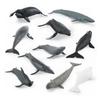 PIGMANA Realistic Whale Figurines Toy - Play Sea Animals Figurines Set - Toy For Kids, Realistic Set For Sea Lovers, Includes Beluga