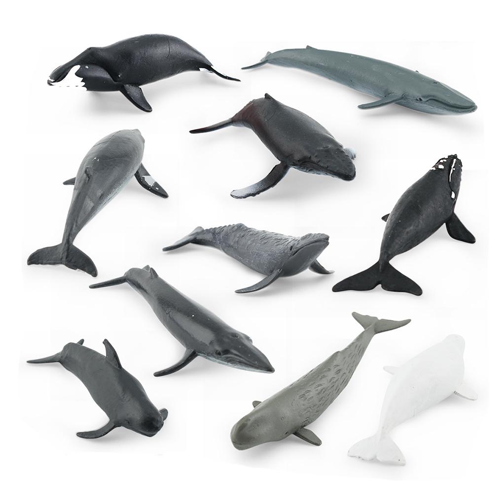 PIGMANA Realistic Whale Figurines Toy - Play Sea Animals Figurines Set - Toy For Kids, Realistic Set For Sea Lovers, Includes Beluga