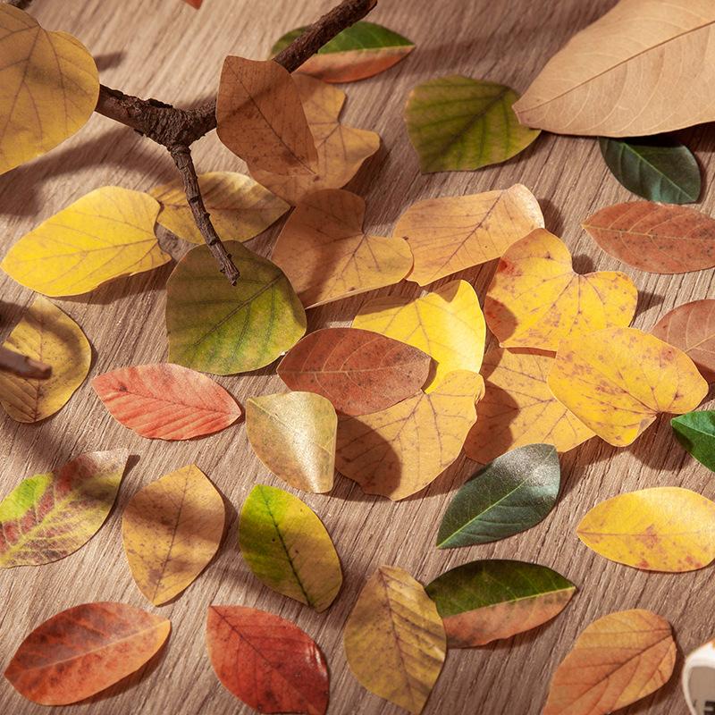 1roll/50pcs Yellow Autumn Leaves Series, Creative Plant Stickers for Hand Account Decoration
