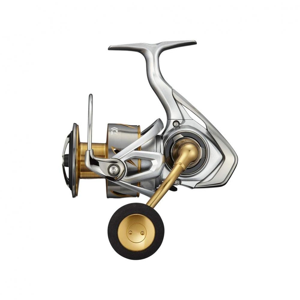 DAIWA 21 Freems LT6000D-H