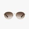 Hwillaaiweeo Sunglasses (Fls7481 Pinkgold 56)