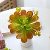 Fleshy Fake Cactus Lifelike Simulation Bonsai Plant Artificial Succulent Plant  Home Office Decor