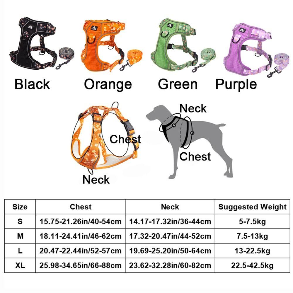 Atmungsaktives Hunde Geschirr Leine Set Verstellbare Katzen Geschirre Haustier Weste für Kleine Mittelgroße Hunde