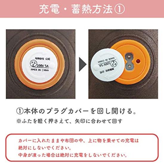 Kosei Hot Water Heat Electric Cold Protection ECO-TANPO Bottle, Rechargeable, Cordless, Storage, Heating, (Brown)