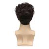Men Short Curly Black Wigs Daily Cosplay Costume Synthetic Brown Hair With Bangs High Temperature Fiber