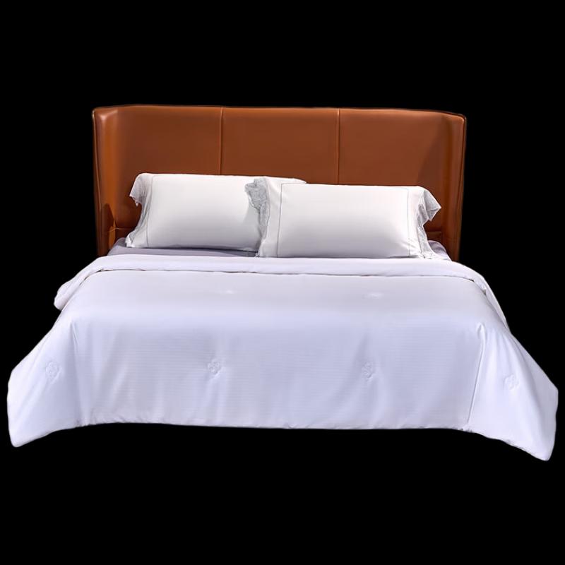 Mercury Home Textiles Yunxiu Zhixian Tussah Silk Quilt