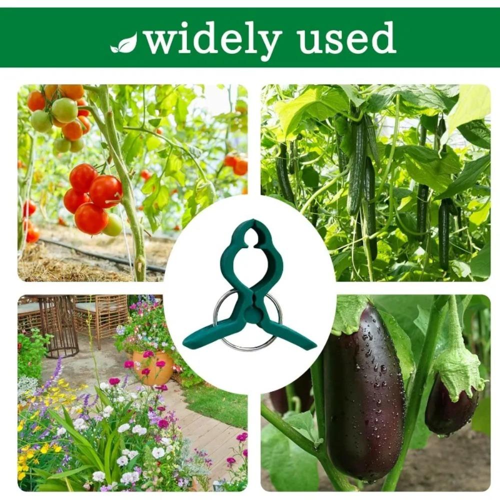 50/10PCS Garden Plant Fixing Clip Reusable Plastic Climbing Plant Fixed Clip Tomato Vegetable Vine Support Clips Garden Supplies