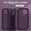 Leren Magnetische Animatie Hoesje voor Voor Iphone 16 15 14 13 Pro Max Plus Magneet voor Magsafe Telefoonhoesje Draadloze Oplaadhoes