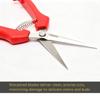 Professional Grape Pruning Scissors Stainless Steel Garden Shears with Lock for Fruit Picking Vegetable Patch Bonsai Care