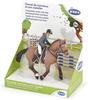 Cheval de concours et son cavalier