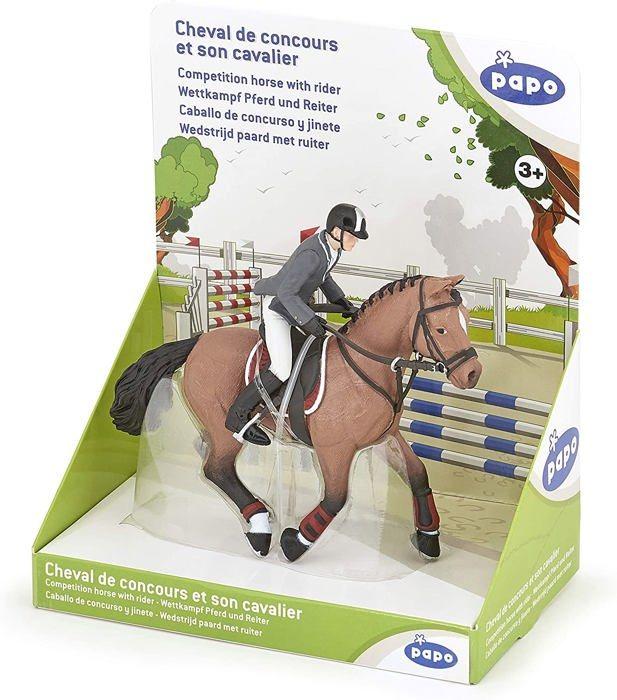Cheval de concours et son cavalier